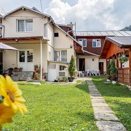 Pensiunea Montan Szászbuda Kültér fotó