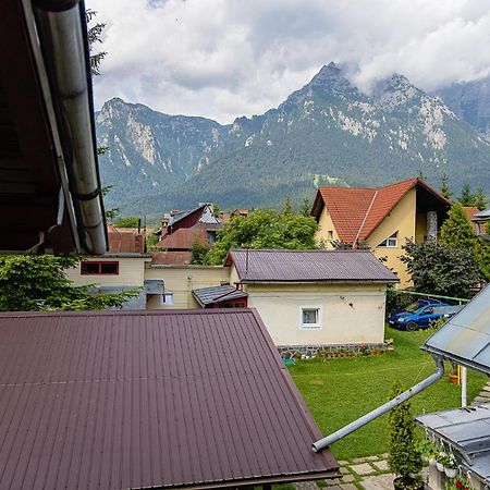 Pensiunea Montan Szászbuda Kültér fotó