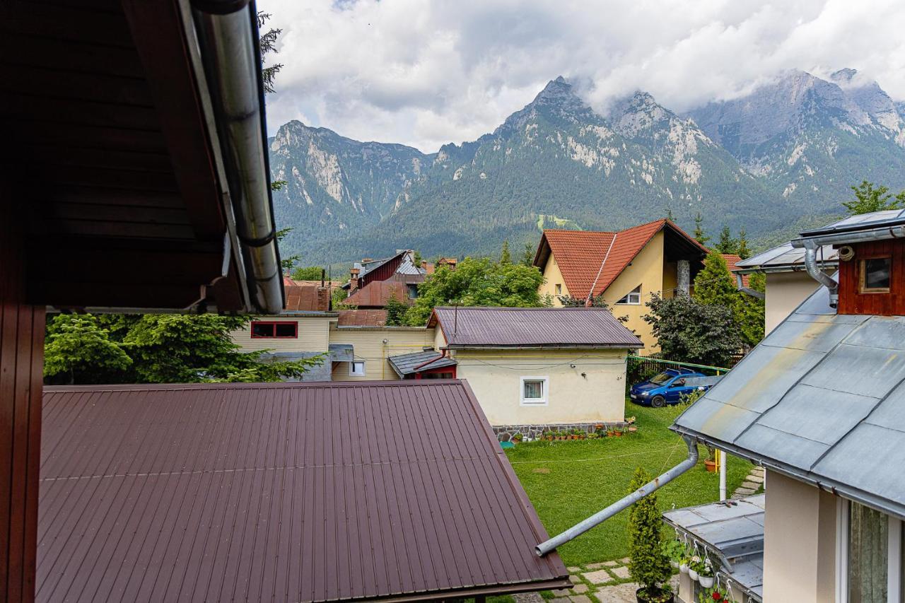 Pensiunea Montan Szászbuda Kültér fotó