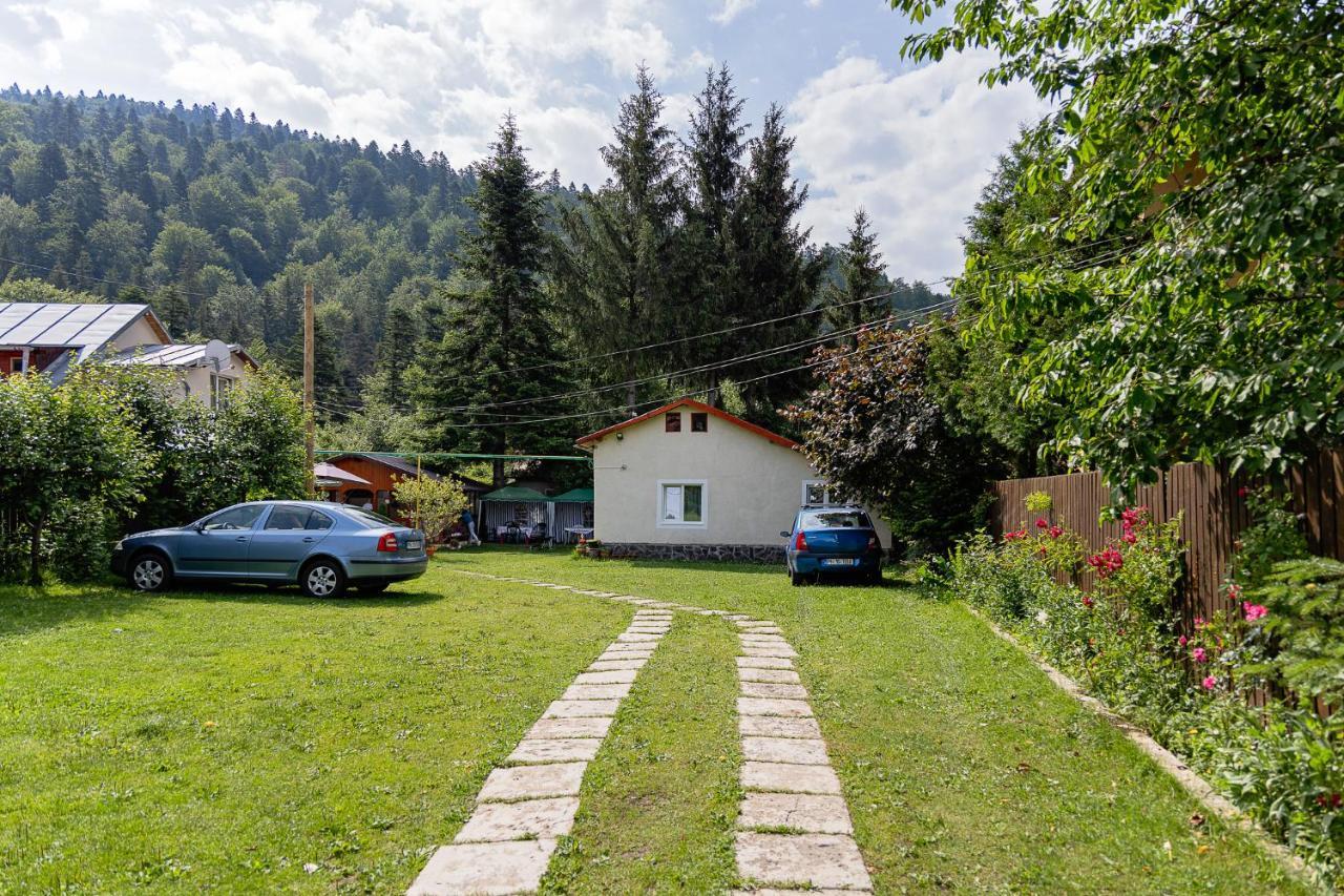 Pensiunea Montan Szászbuda Kültér fotó