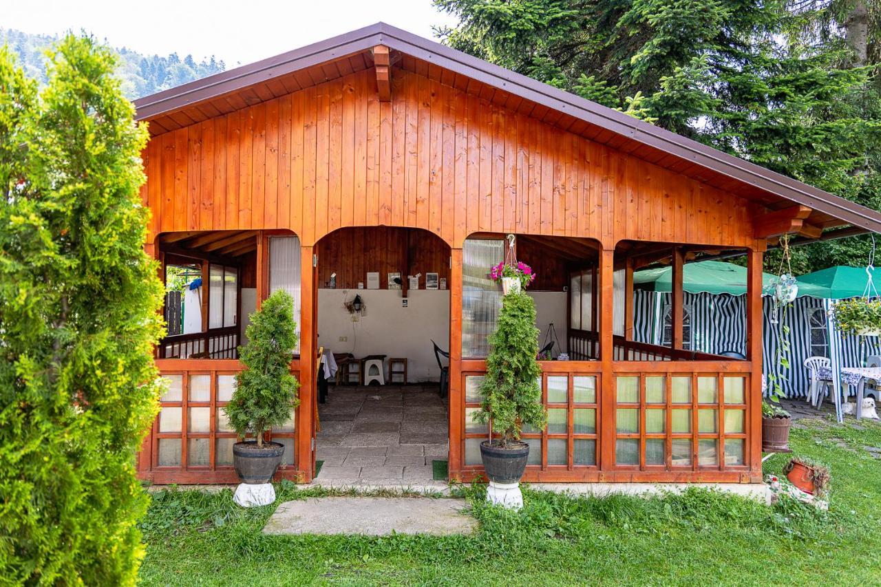 Pensiunea Montan Szászbuda Kültér fotó