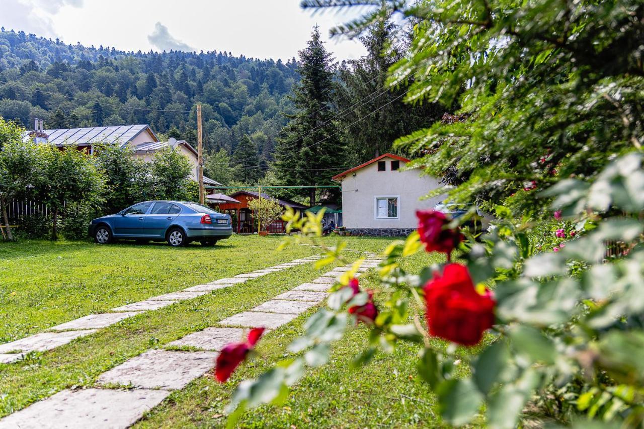 Pensiunea Montan Szászbuda Kültér fotó