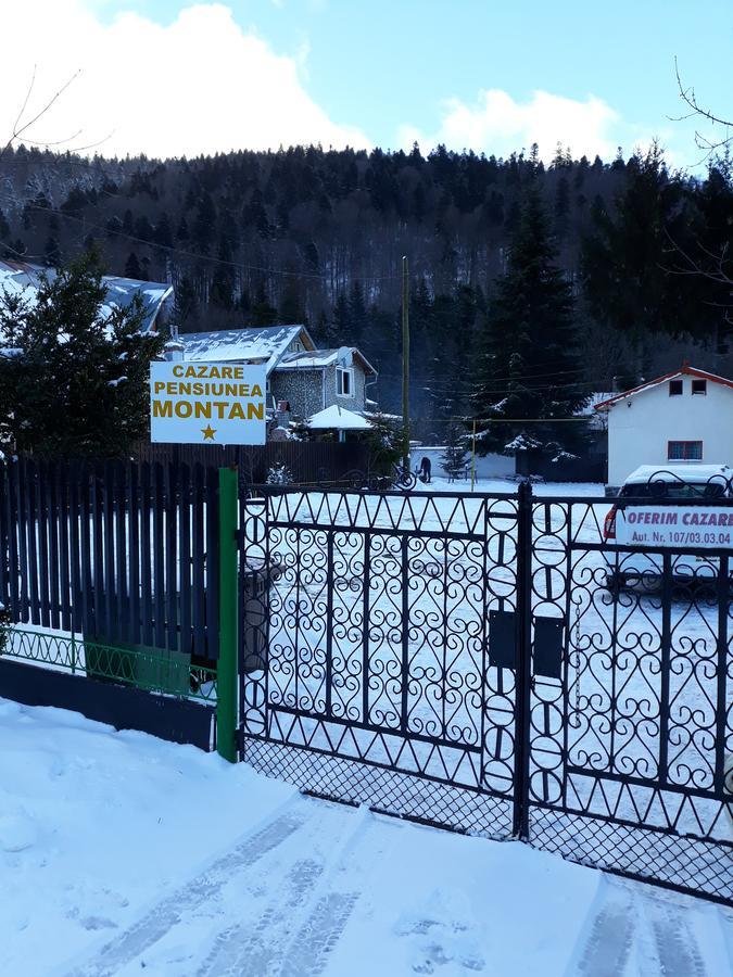 Pensiunea Montan Szászbuda Kültér fotó