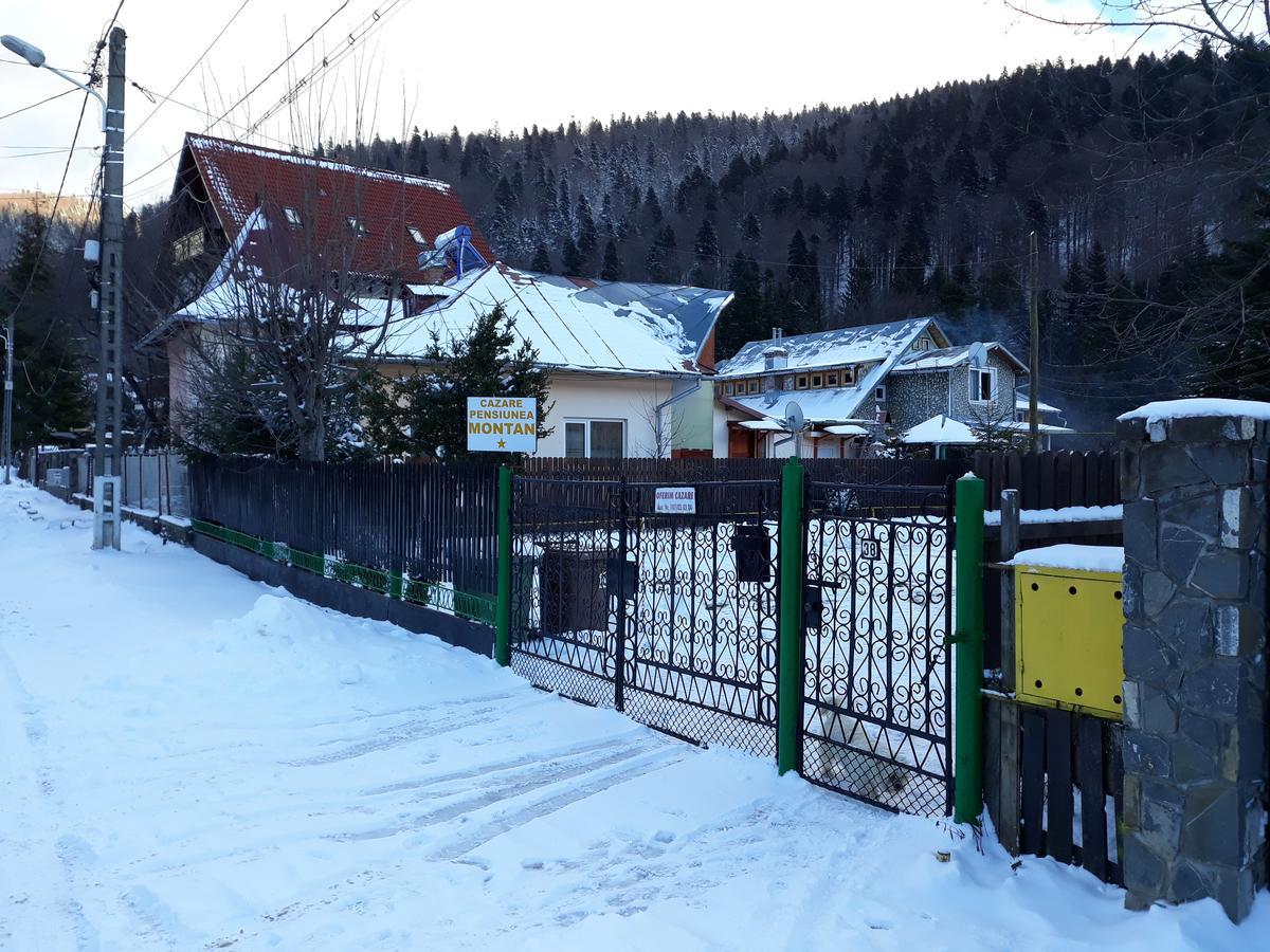 Pensiunea Montan Szászbuda Kültér fotó